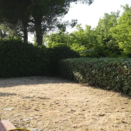 فيلة Immersa Nel Del Parco Del San Bartolo *